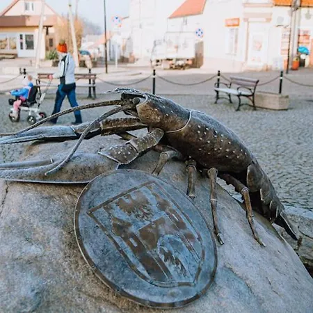 Mieszkania Na Ul Dojazdowej 4 * Moryn